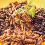 SFA Approves 16 Species of Insects for Human Consumption; Includes Regulations as Well